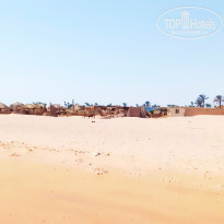 фото из отзыва ID 2203407