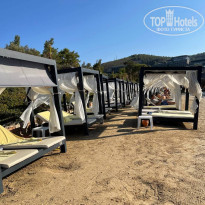 фото из отзыва ID 2203426