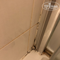 фото из отзыва ID 2203496