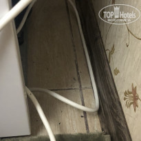 фото из отзыва ID 2203496