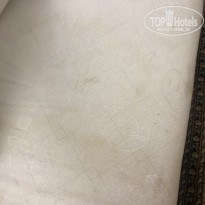 фото из отзыва ID 2203496