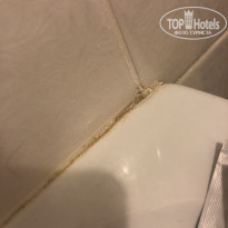 фото из отзыва ID 2203496