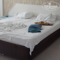 фото из отзыва ID 2203532