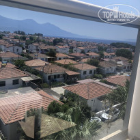 фото из отзыва ID 2203601