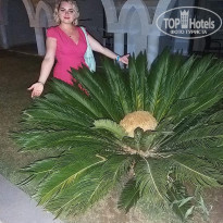 фото из отзыва ID 2203709