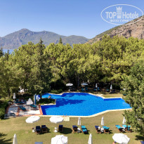 фото из отзыва ID 2203973