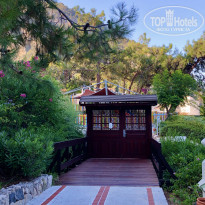 фото из отзыва ID 2203973