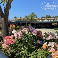 фото из отзыва ID 2203922