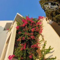 фото из отзыва ID 2203989