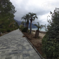 фото из отзыва ID 2204128