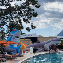 фото из отзыва ID 2204122