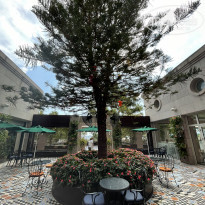 фото из отзыва ID 2204122