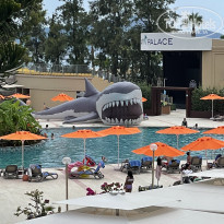 фото из отзыва ID 2204122