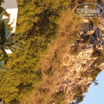 фото из отзыва ID 2204166