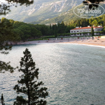 фото из отзыва ID 2204166