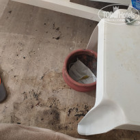 фото из отзыва ID 2204196