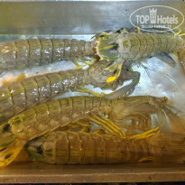 фото из отзыва ID 2204229