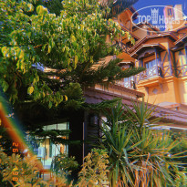 фото из отзыва ID 2204383