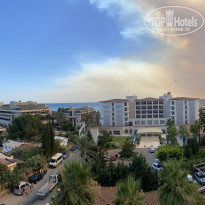 фото из отзыва ID 2204383