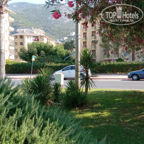 фото из отзыва ID 2204533