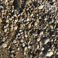 фото из отзыва ID 2204559