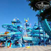 фото из отзыва ID 2204579