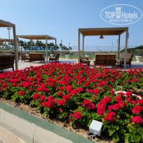 фото из отзыва ID 2204579