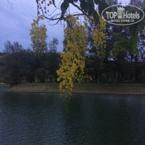 фото из отзыва ID 2204899