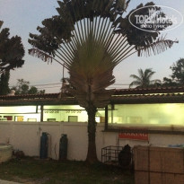 фото из отзыва ID 2204899