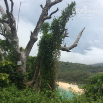 фото из отзыва ID 2204899