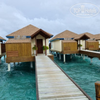 фото из отзыва ID 2204839