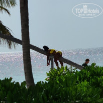 фото из отзыва ID 2204839