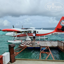 фото из отзыва ID 2204839