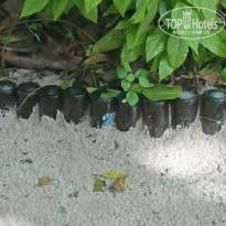 фото из отзыва ID 2204839