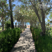 фото из отзыва ID 2205009