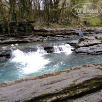 фото из отзыва ID 2205136