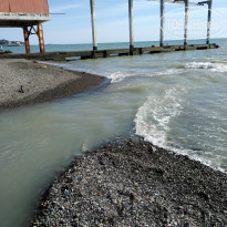 фото из отзыва ID 2205136