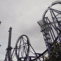 фото из отзыва ID 2205136