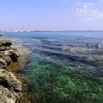 фото из отзыва ID 2205350