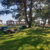 фото из отзыва ID 2205414