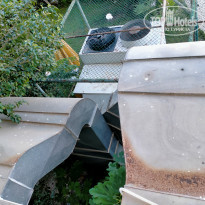 фото из отзыва ID 2205419