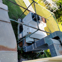 фото из отзыва ID 2205419