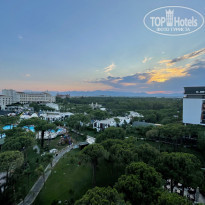 фото из отзыва ID 2205576