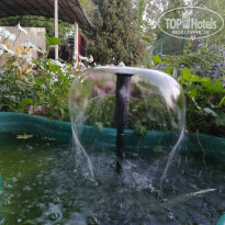 фото из отзыва ID 2205708