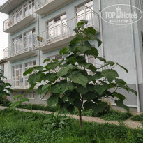 фото из отзыва ID 2205708