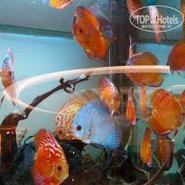 фото из отзыва ID 2205713