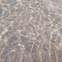 фото из отзыва ID 2205747