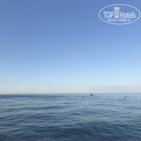 фото из отзыва ID 2205852