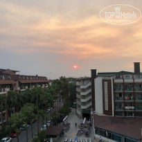 фото из отзыва ID 2205865