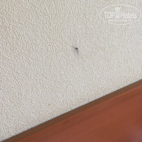 фото из отзыва ID 2205920